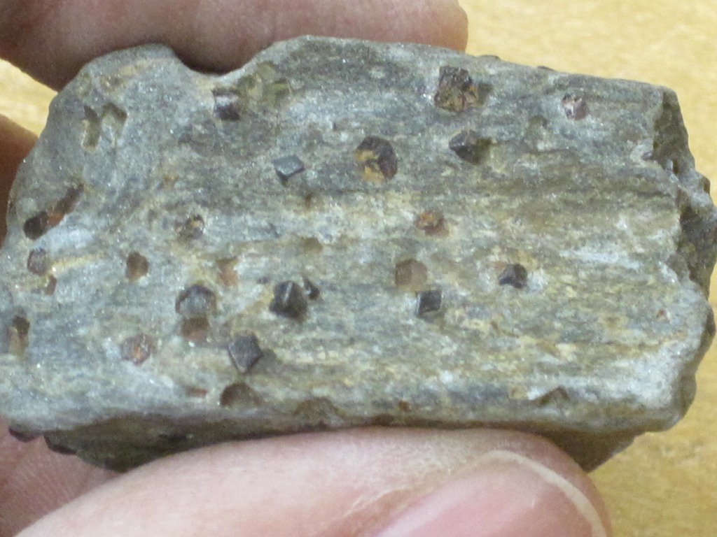 Garnet mica schist