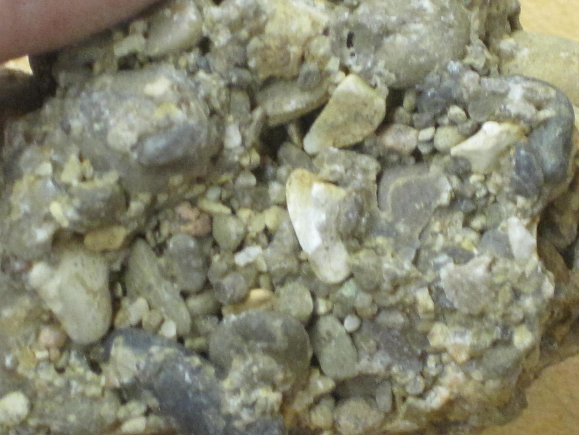 Conglomerate