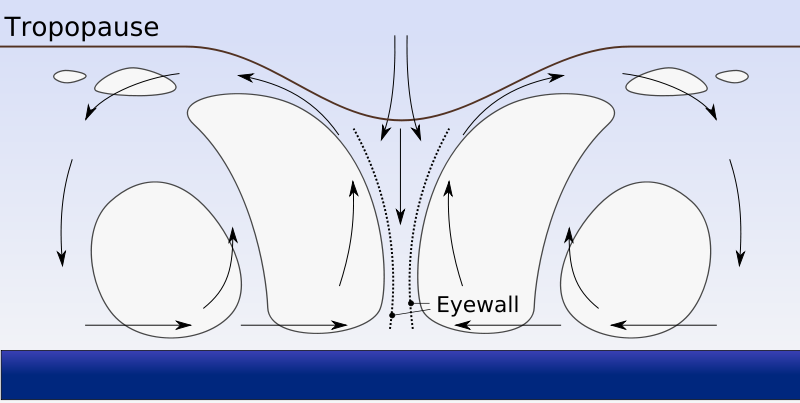 Hurricane profile